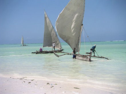 Dhows en la playa, zanzibar, tanzania