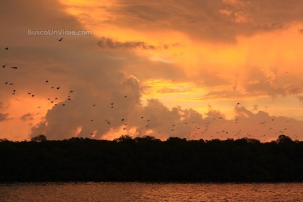 Atardecer en Kalohg Island (Indonesia)