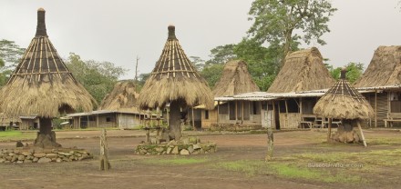 Isla de Flores. Aldea tradicional de Wogo. Representación de los clanes. Ngadhu