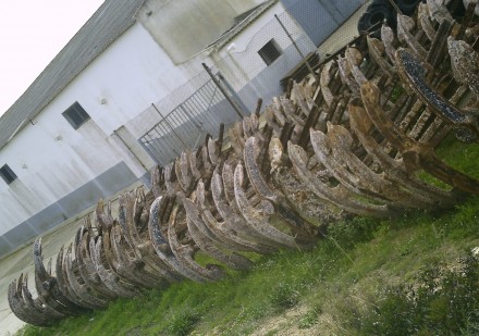 Anclas en el puerto de Conil