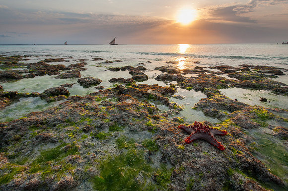 Nungwi, Zanzíbar (Tanzania)