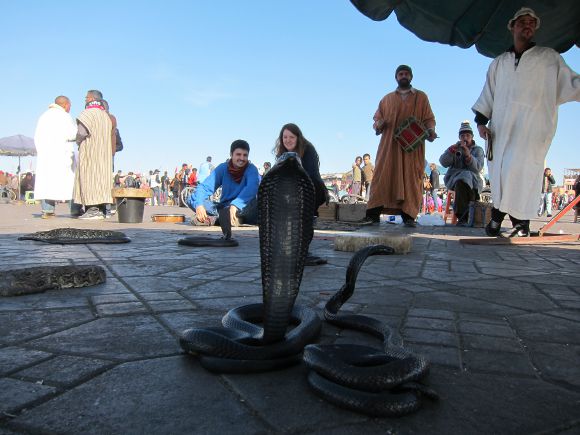 Una cobra en Marruecos