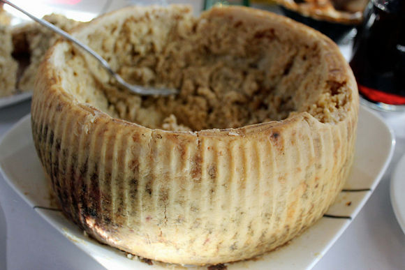 Casu Marzu