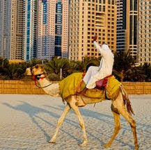 Puente de diciembre en Dubai para singles