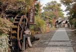Japón: Ciudades, templos y montañas con guía en español