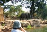 Zambia & Zimbabwe Flying Safari
