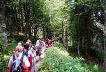 Selva Negra: Senderos de naturaleza y cultura de nivel fácil (verano)