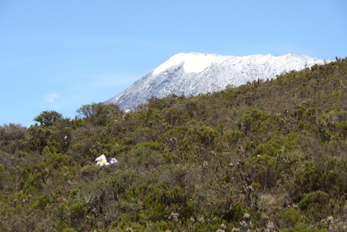 Trekking Kilimanjaro, Ruta Marangu
