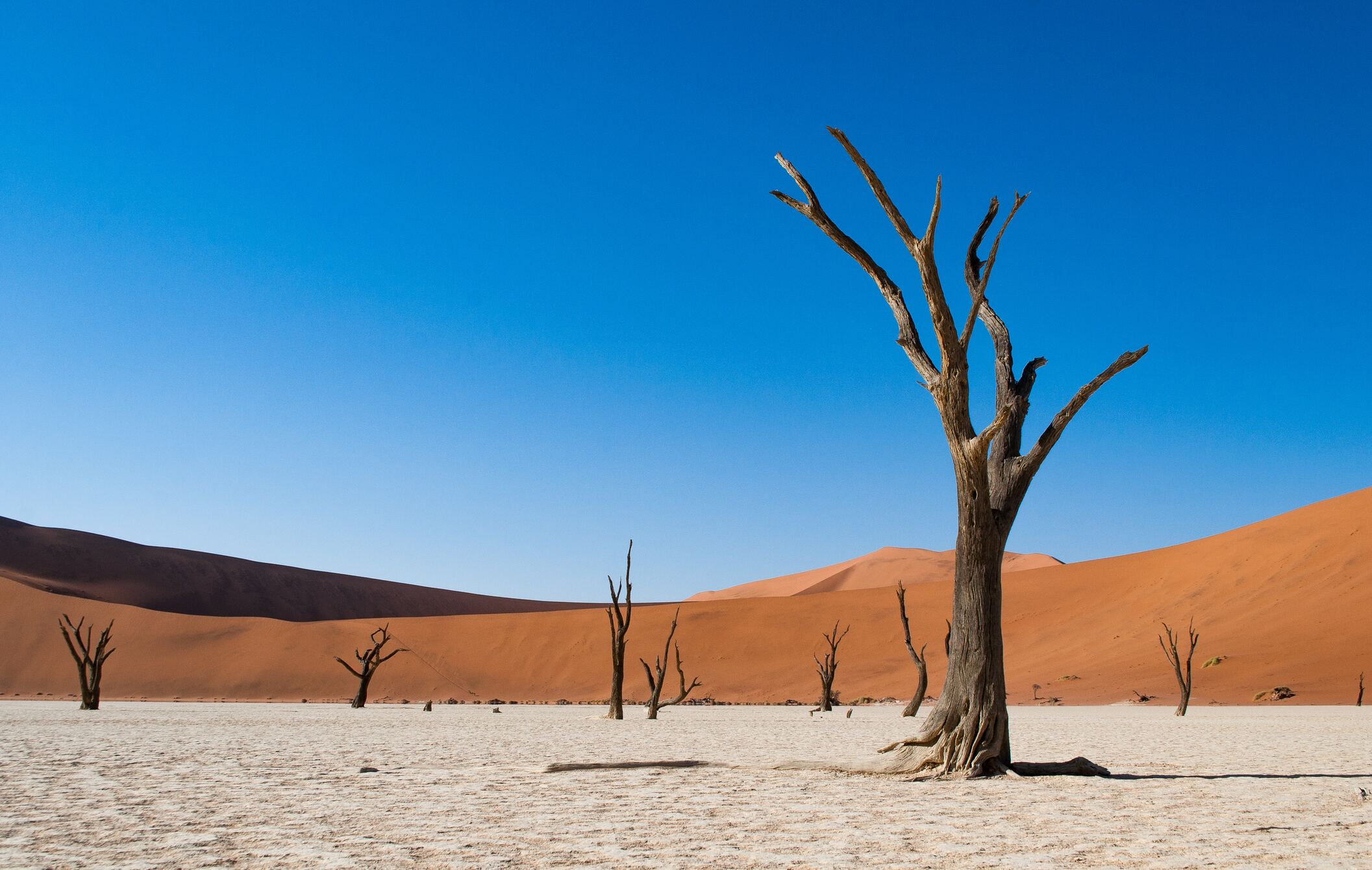 Namibia Express
