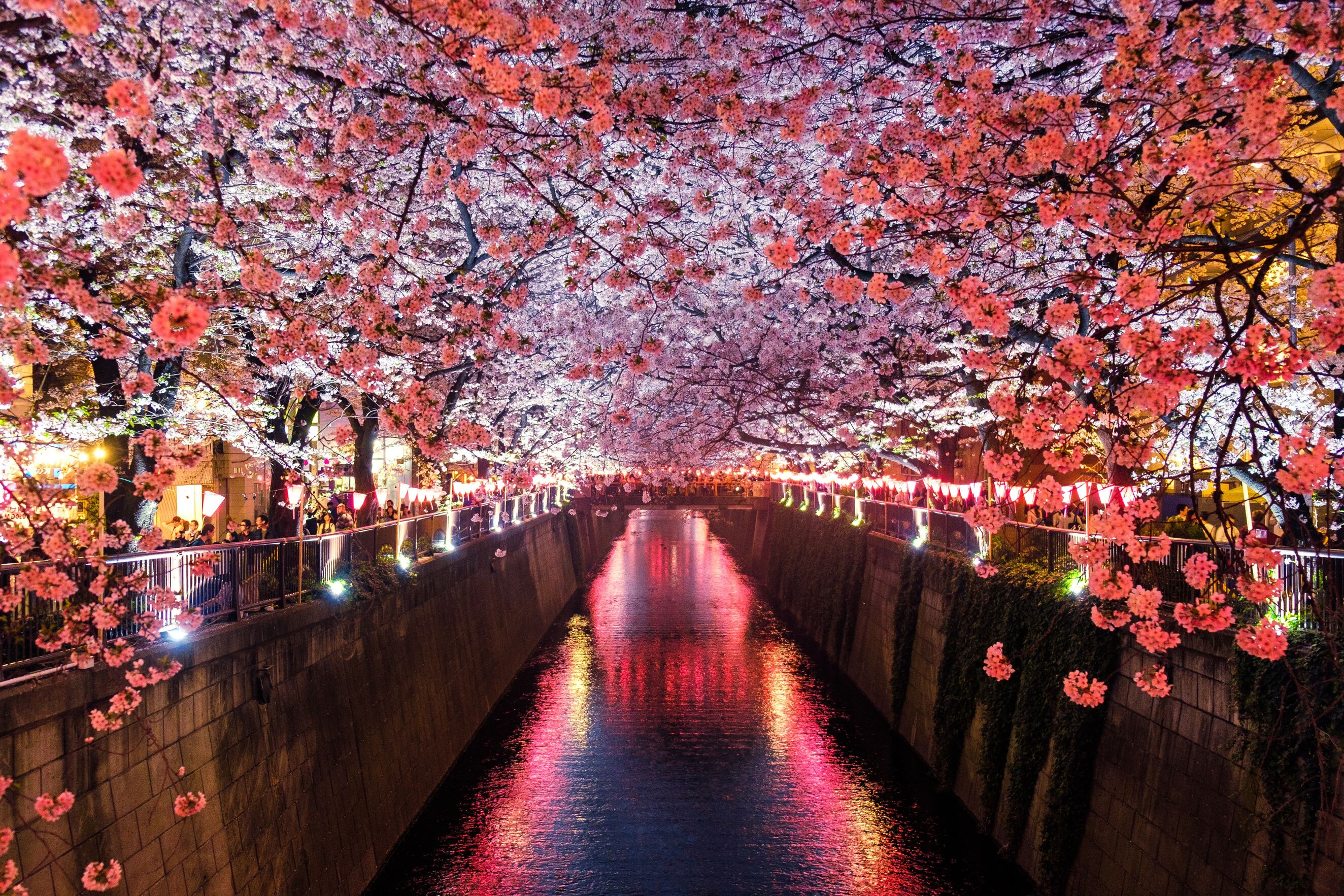 Japón Clásico
