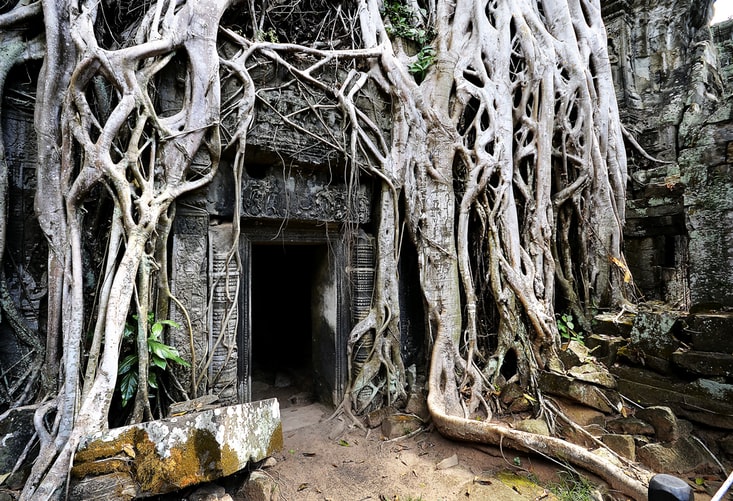 Vietnam minorías del norte, Halong, Delta y Templos de Angkor