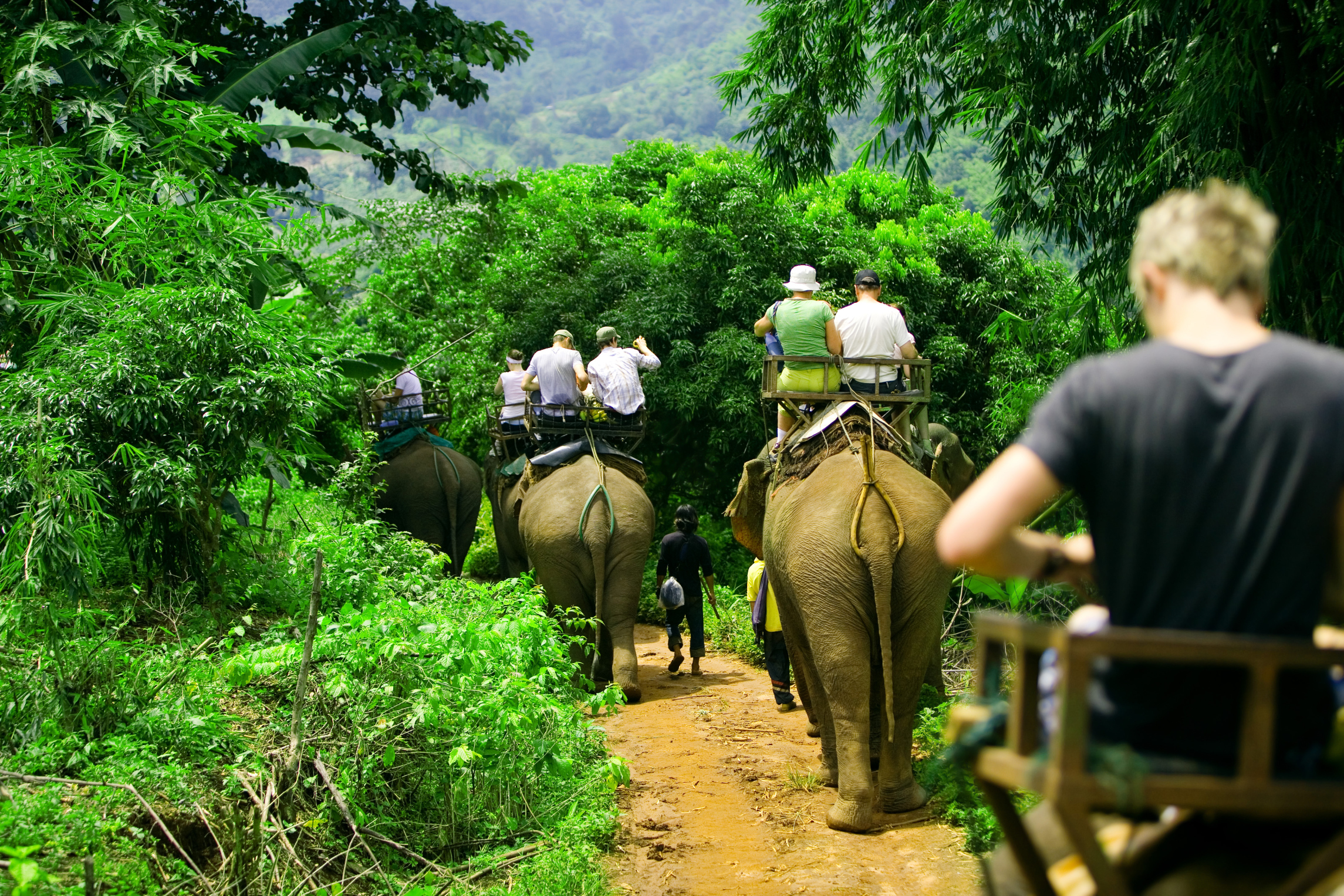 Circuito Tailandia y Phuket
