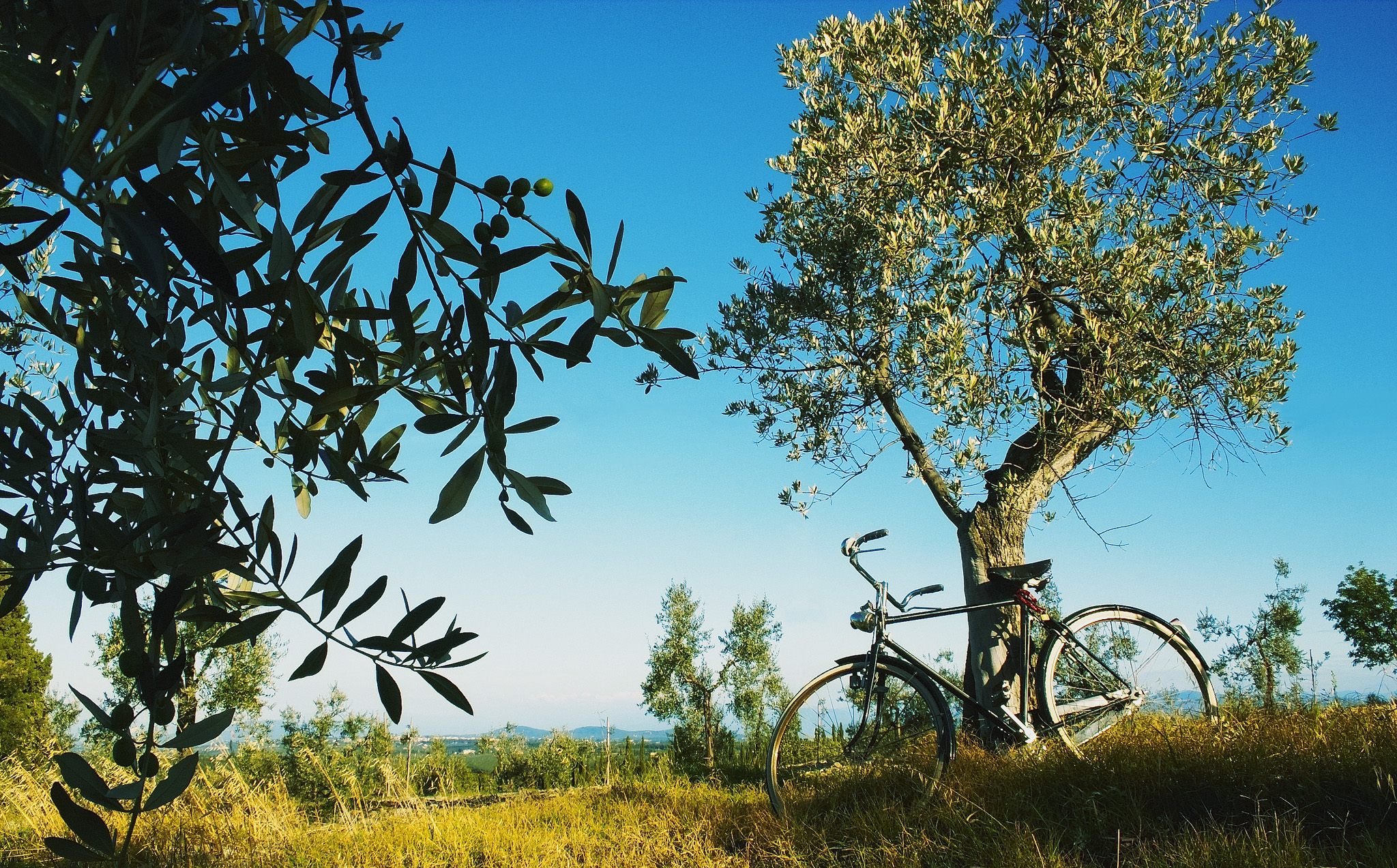 Toscana, sabores de Primavera