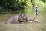 Tailandia en Familia: "Bienvenidos a lo más exótico y cultural"