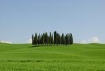 Toscana en Familia: "Arte, paisajes, vino y diversión!