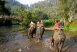 Tour Chiang Mai, Chiang Rai y Triángulo de Oro