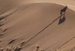 Trans-Kalahari: Namibia, Botsuana, Zambia y Zimbabue 2013