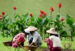 Memorias de Vietnam y Camboya
