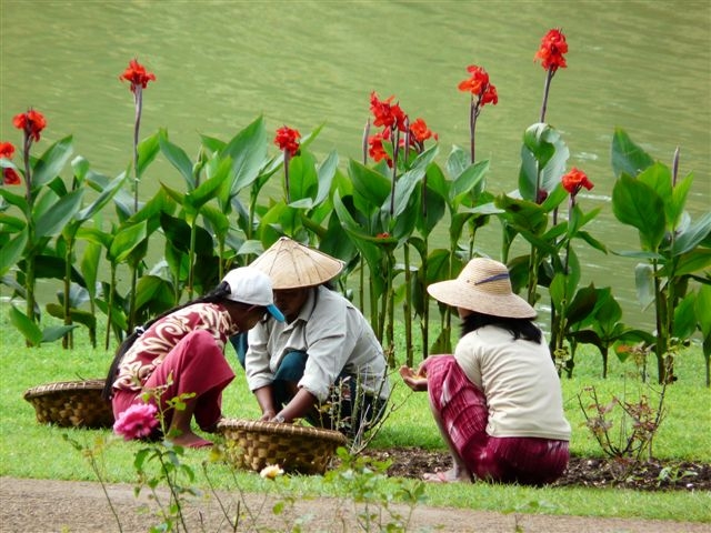 Memorias de Vietnam y Camboya