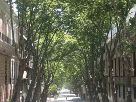 Casa en el parque rodo y horarios