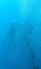 Buceo en Polinesia Francesa