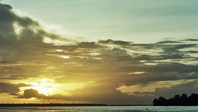 Amazonas Brasileño