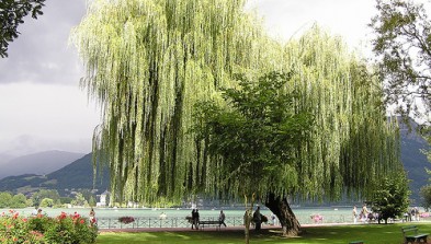 Annecy