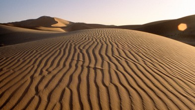 Argelia