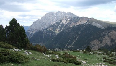 Berga