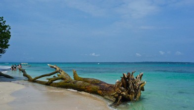 Bocas del Toro