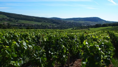 Borgoña