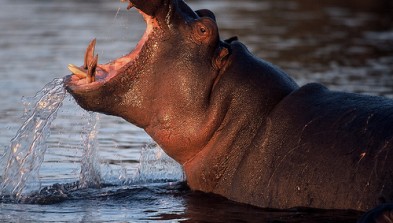 Botswana