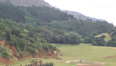 Cabárceno