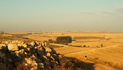 Camino de Santiago