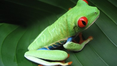 Costa Rica