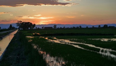Delta del Ebro