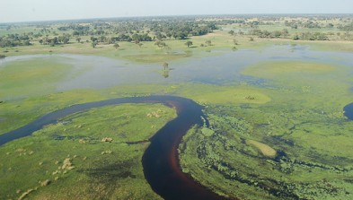 Delta del Okavango