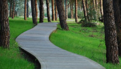 Doñana