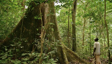 Gabón