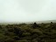 Islandia