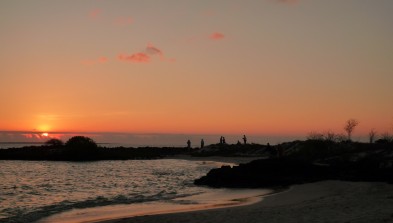 Islas Galápagos