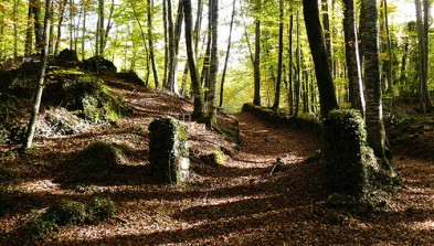 La Garrotxa