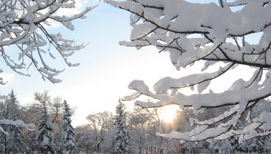 Manitoba