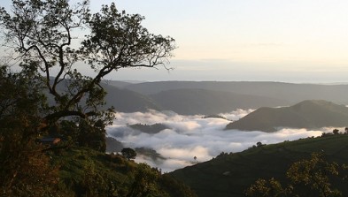 Montañas Virunga