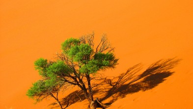 Namibia