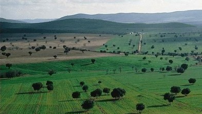 Parque Nacional de Cabañeros