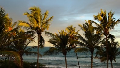 Recife