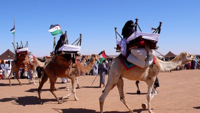 Sahara Occidental