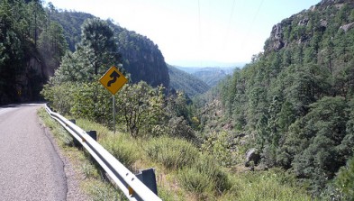 Sierra Madre Occidental