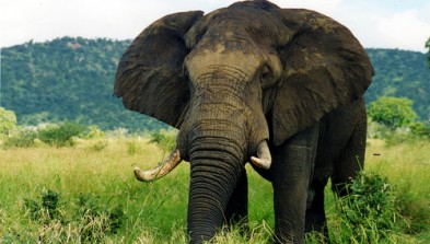 Sudáfrica